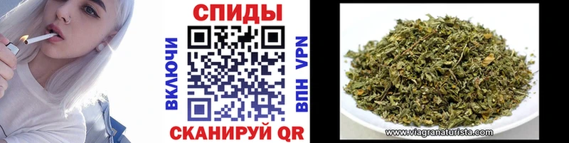 дарк нет официальный сайт  Мещовск  БУТИРАТ буратино 