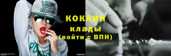 твердый Абаза