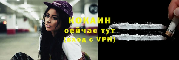 твердый Абаза