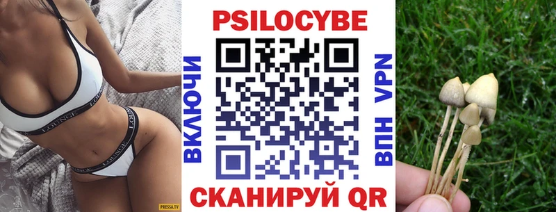 Псилоцибиновые грибы Psilocybe  где продают   Мещовск 